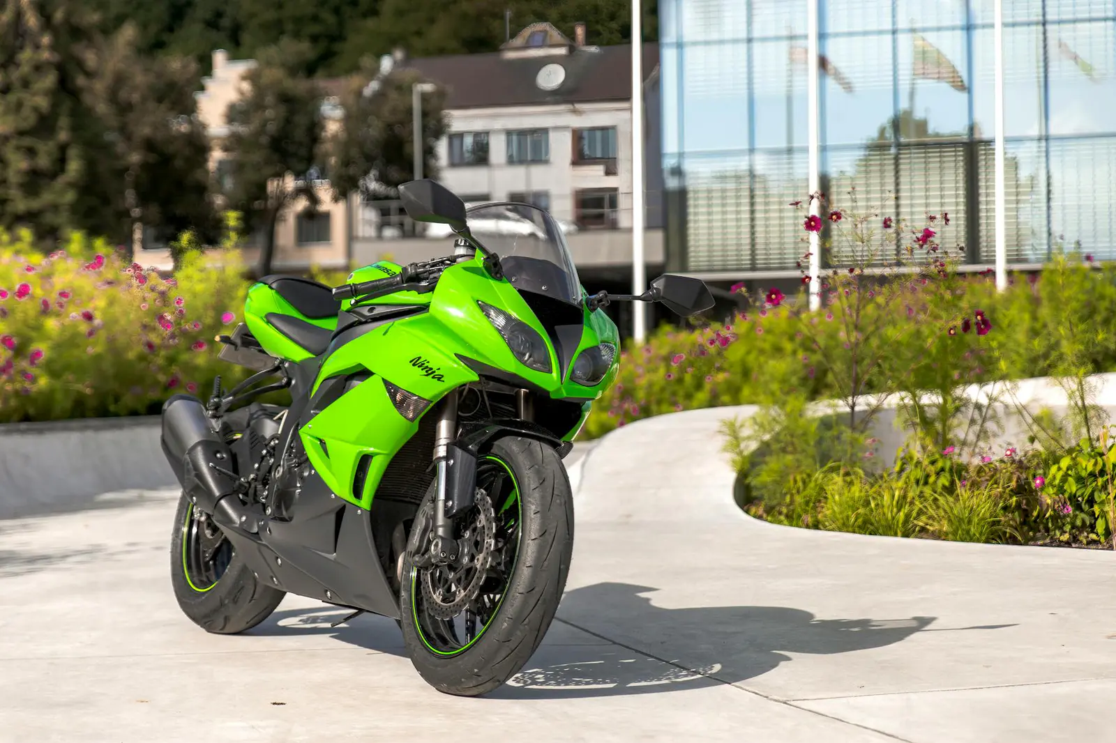 Shadow Ninja